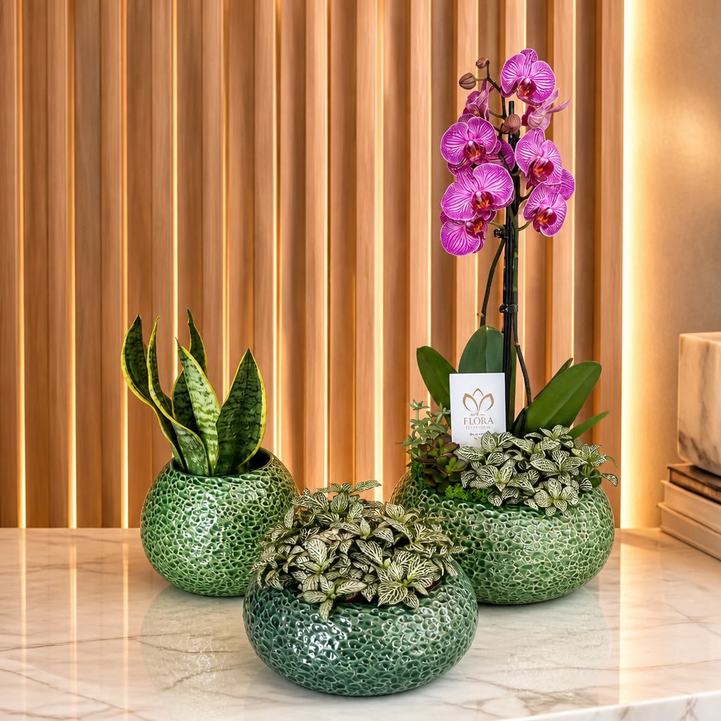 Jardim de Orquídeas
